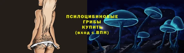 стафф Дмитровск