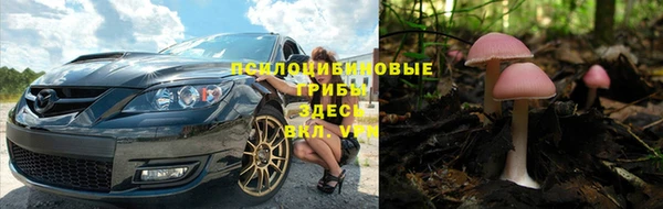 круглые Дмитриев