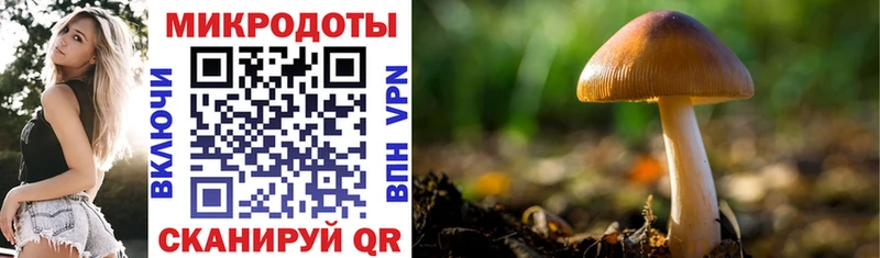 Галлюциногенные грибы MAGIC MUSHROOMS  Купить где  Обь 